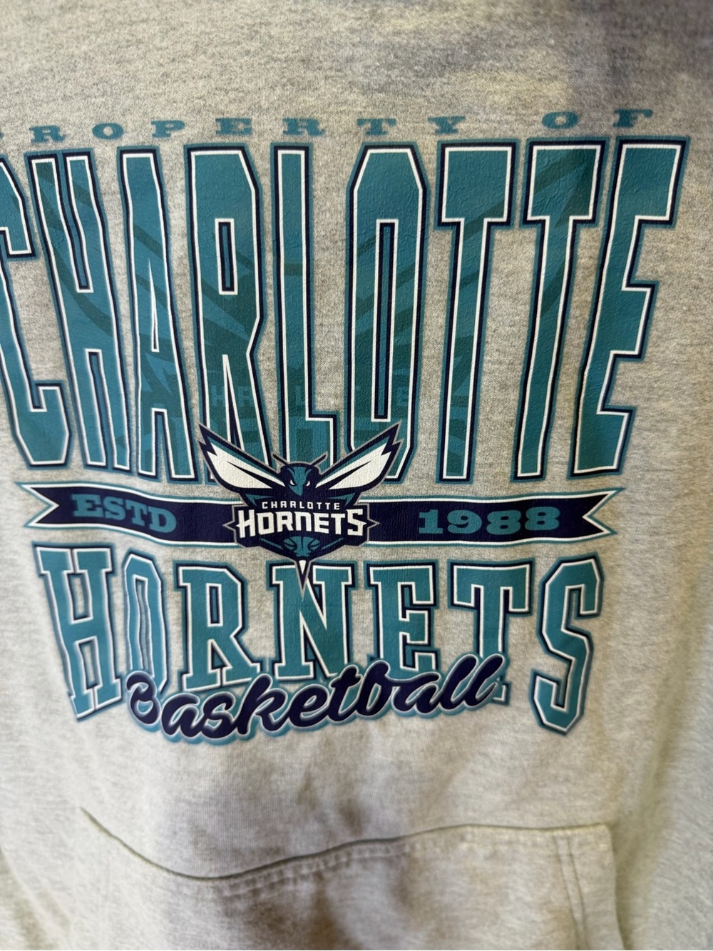 NBA Charlotte Hornets Teal and Navy Graphic Pullover